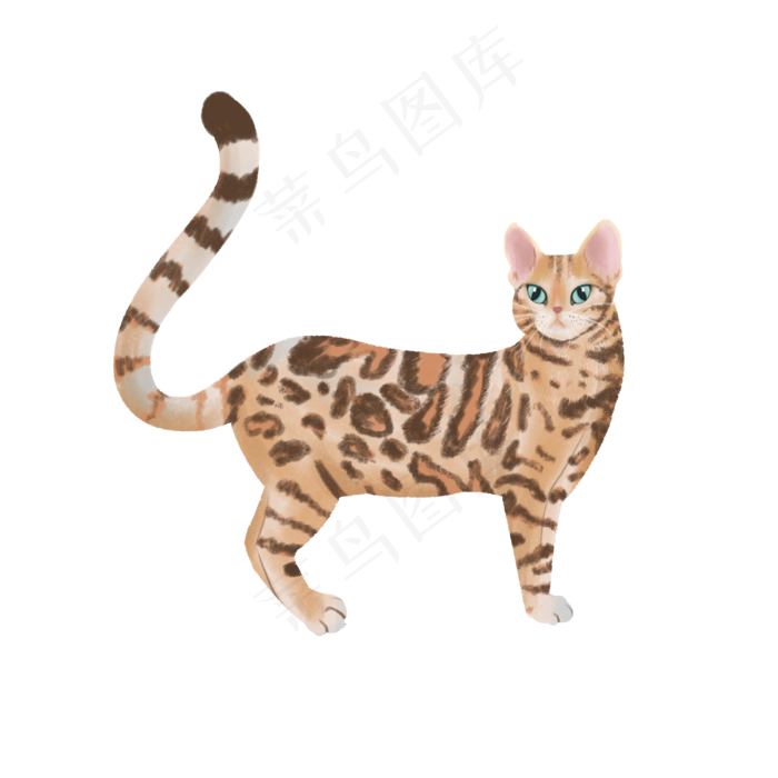 可爱纯种猫宠物主子豹猫,免抠元素