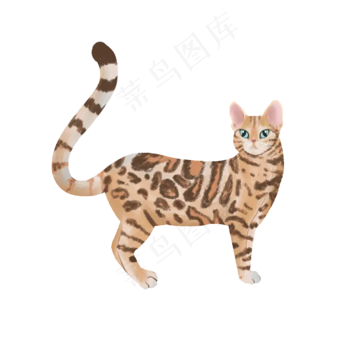 可爱纯种猫宠物主子豹猫,免抠元素(3000*3000px 300 dpi )psd模版下载