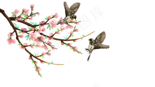 中国风花鸟春天桃花麻雀边框横