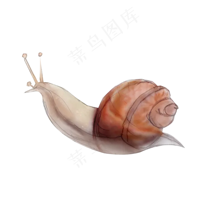 卡通手绘水彩蜗牛免抠png(2000X2000(DPI:300))psd模版下载
