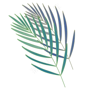 细长热带植物长条,免抠元素