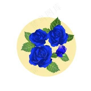 玫瑰玫瑰蓝色玫瑰蓝色妖姬玫瑰花