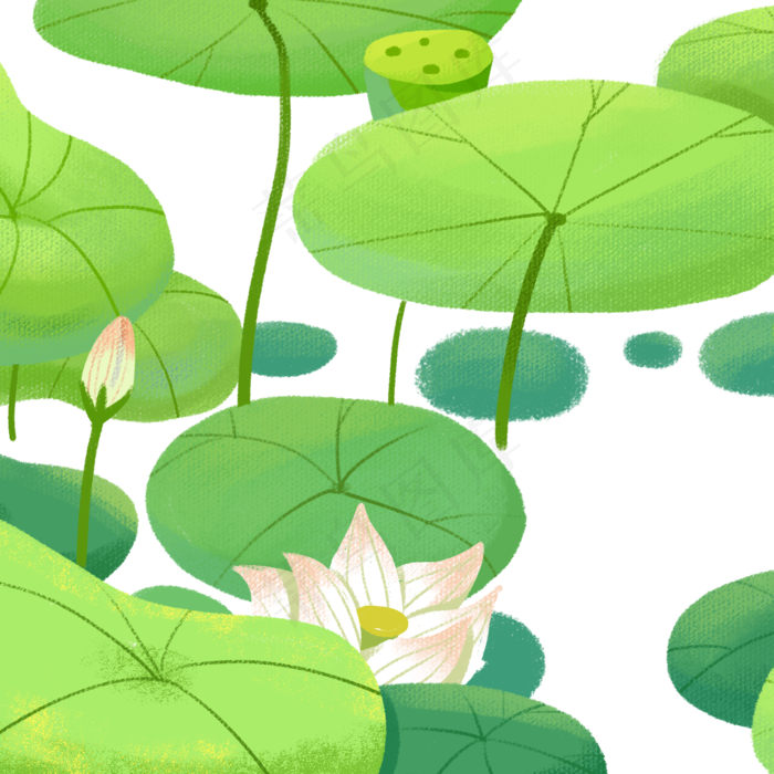 夏季荷叶荷花(2000X2000(DPI:300))psd模版下载