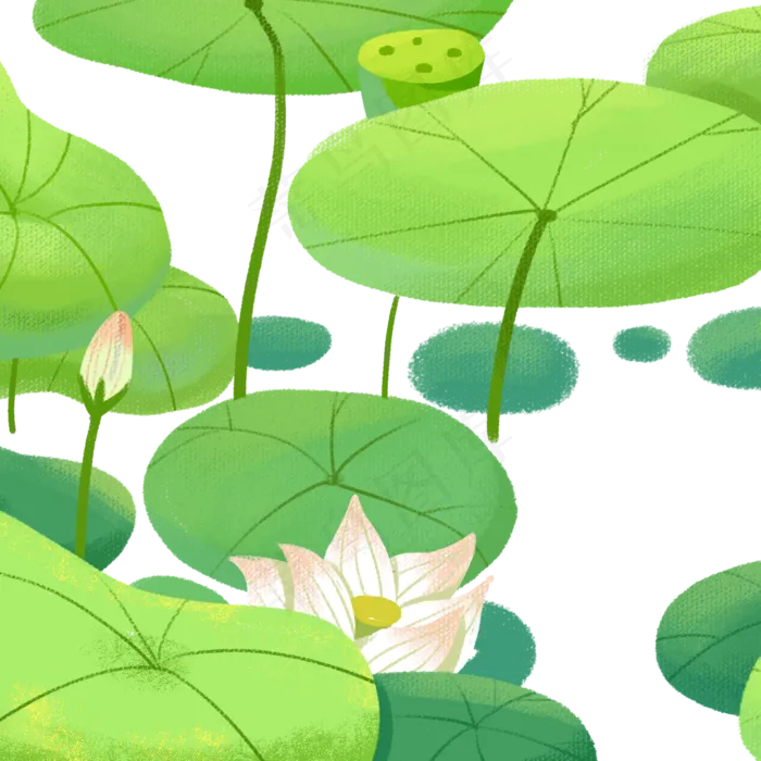 夏季荷叶荷花(2000X2000(DPI:300))psd模版下载
