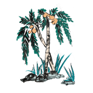 夏天新鲜椰子水墨手绘