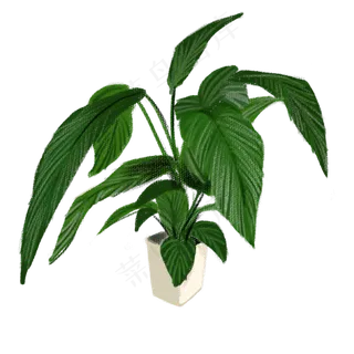 手绘绿色植物盆栽可商用元素