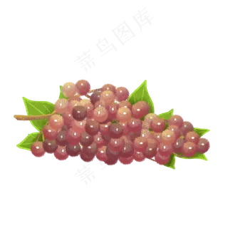 手绘水果png素材