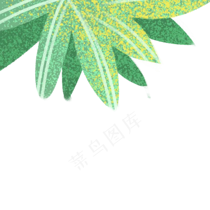 绿色的树叶子免抠图(2000X2000(DPI:300))psd模版下载