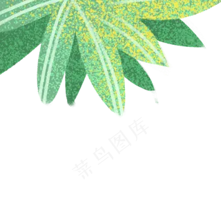 绿色的树叶子免抠图