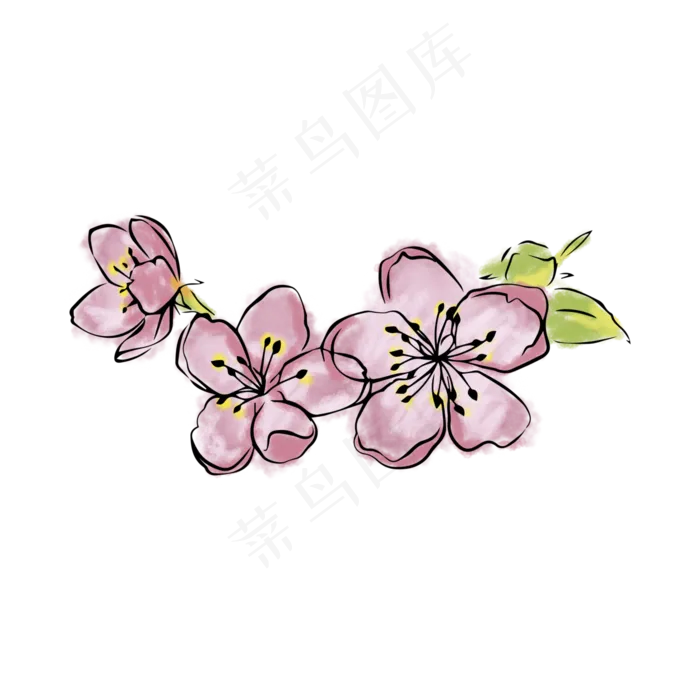 手绘晕染一朵樱花(4167X4167(DPI:200))psd模版下载