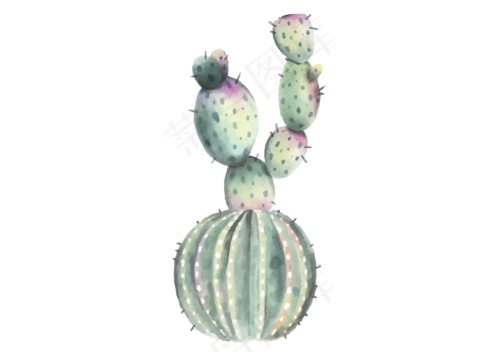 淡色水彩仙人掌植物