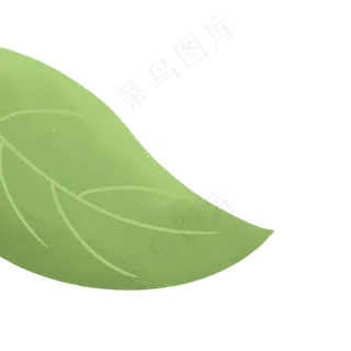 绿色叶子