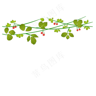 绿色藤蔓红色果子点缀免抠插图