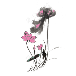 水墨植物荷花手绘素材