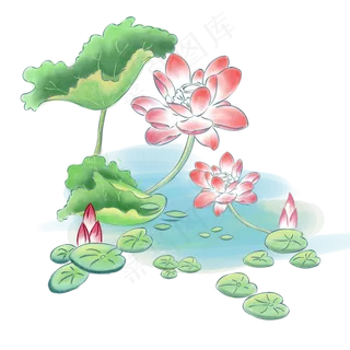 手绘花国画中国风荷塘荷花荷叶,免抠元素