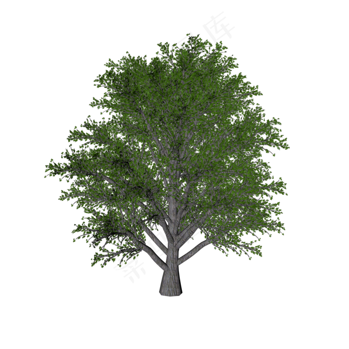 绿色树木植物,免抠元素(3007X2808(DPI:240))psd模版下载