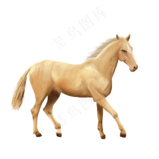 纯血马良驹漂亮动物赛马,免抠元素