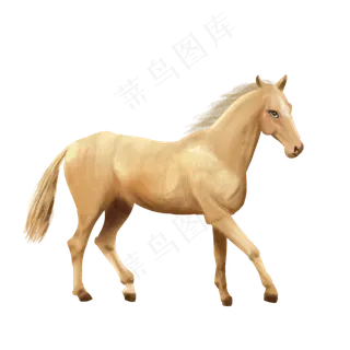 纯血马良驹漂亮动物赛马,免抠元素