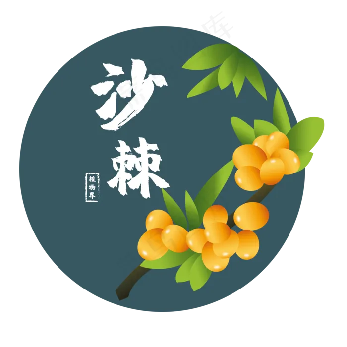 黄色的沙棘(3500X3500(DPI:300))ai矢量模版下载