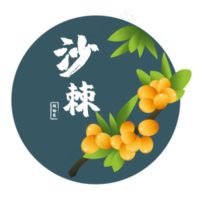 黄色的沙棘