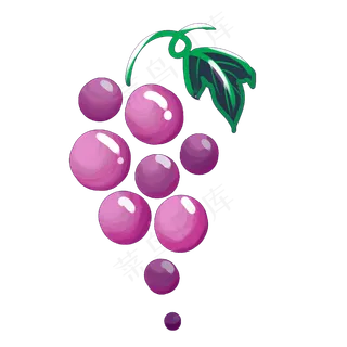 葡萄种植生长紫色叶子