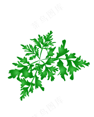 矢量免扣卡通树叶