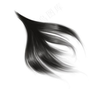 头发笔刷毛发发丝