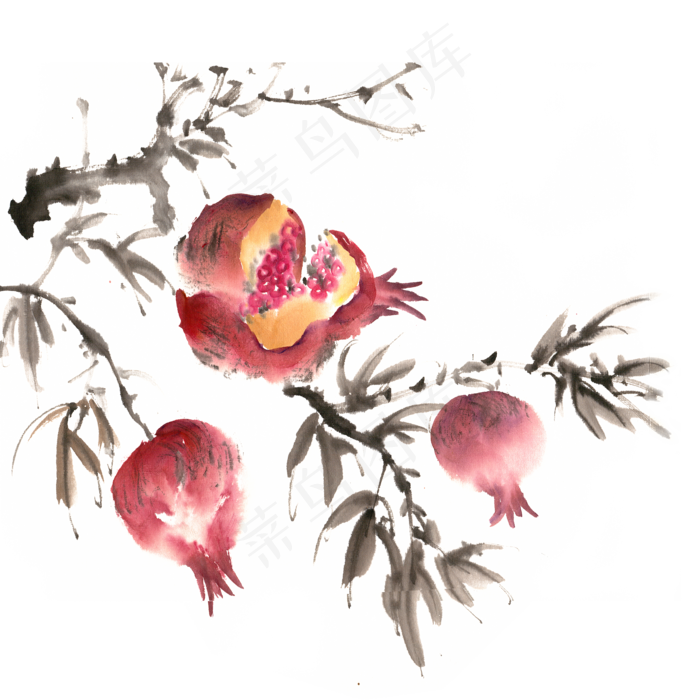 秋冬水果枝头的石榴