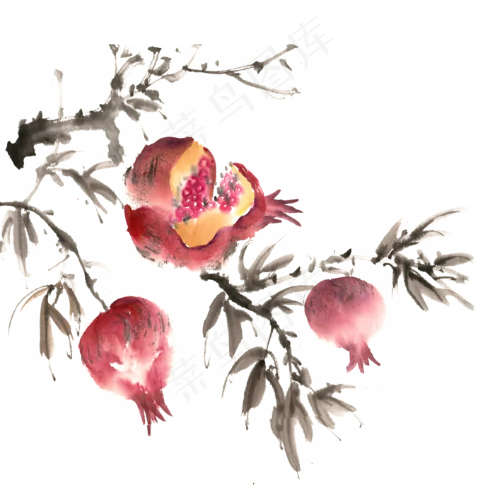 秋冬水果枝头的石榴(4724X4724(DPI:300))psd模版下载