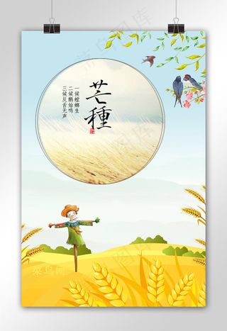 菜鸟图库原创 芒种 黄色