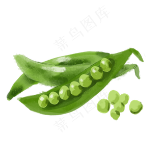 水彩小清新绿色蔬菜豌豆