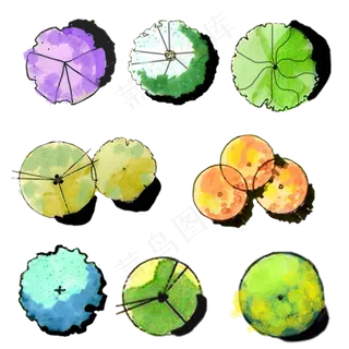 植物平面手绘设计