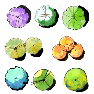 植物平面手绘设计