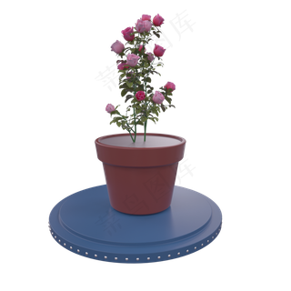 盆景玫瑰花红玫瑰圆盘金色圆球背