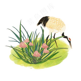 仙鹤丹顶鹤中国花卉春夏