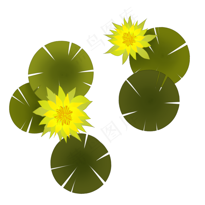 黄色盛开的荷花装饰