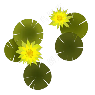 黄色盛开的荷花装饰