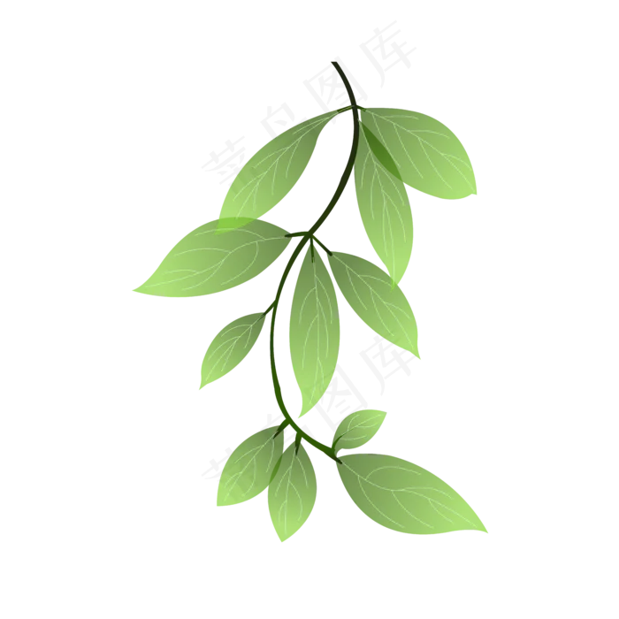 嫩绿植物绿叶可商用元素,免抠元素(1024X1369(DPI:72))ai矢量模版下载