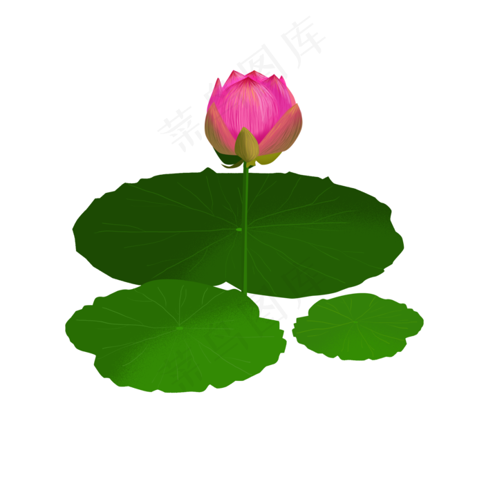 荷花荷叶绿色手绘风元素