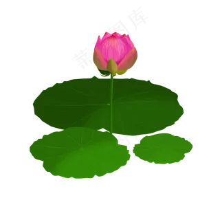 荷花荷叶绿色手绘风元素