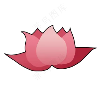 盛开荷花卡通小清新