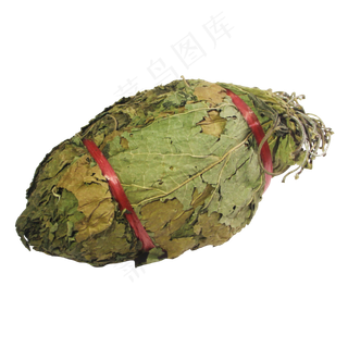 桑叶中药药材,免抠元素