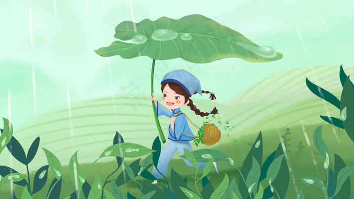 春天谷雨 采茶女孩 雨中奔跑