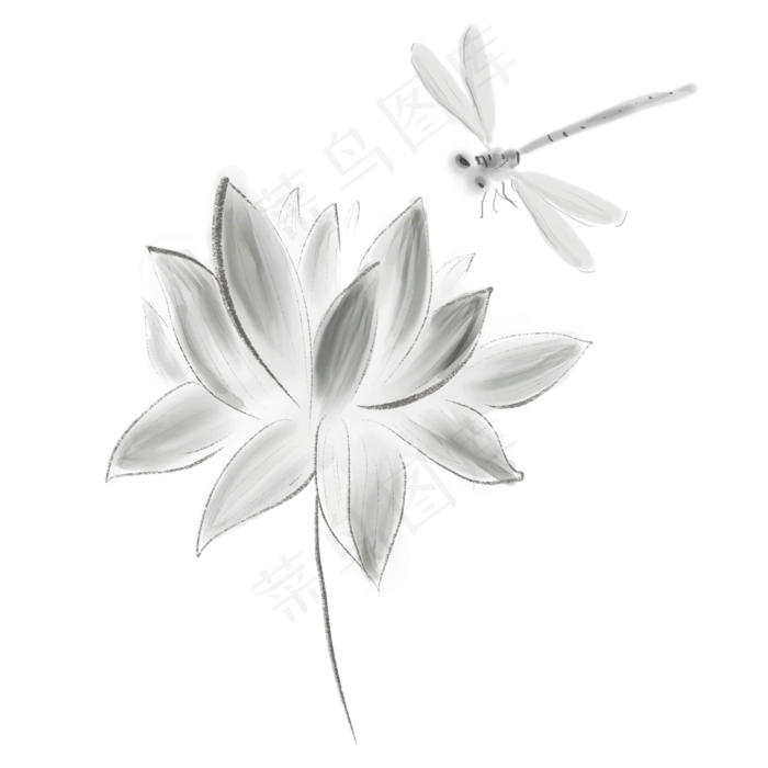 水墨莲花和蜻蜓
