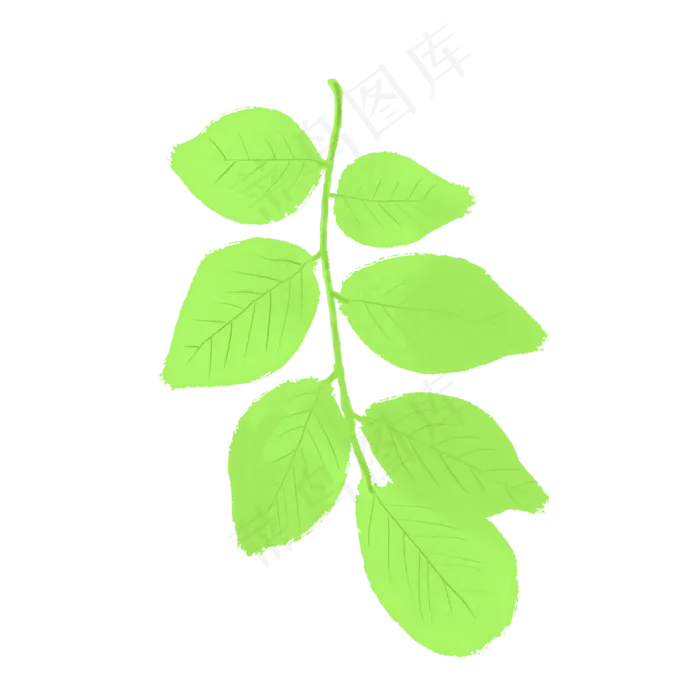春天绿色嫩绿杨树叶(2000X2000(DPI:300))psd模版下载
