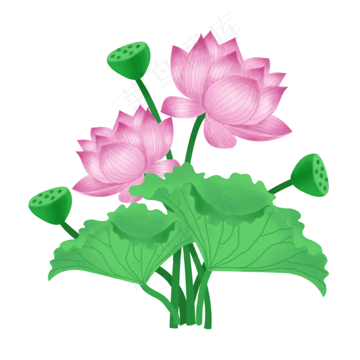 粉色的莲花(2000X2000(DPI:300))psd模版下载
