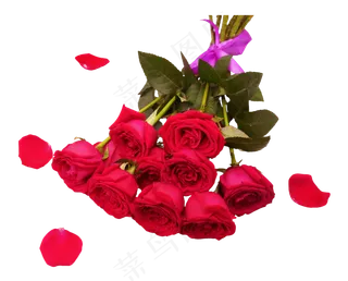 一把红色玫瑰花