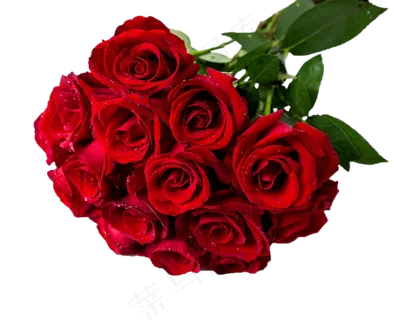 鲜红玫瑰花束