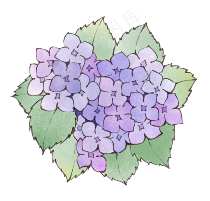 水彩水墨装饰清新小花绣球花素材(1098X1050(DPI:600))psd模版下载