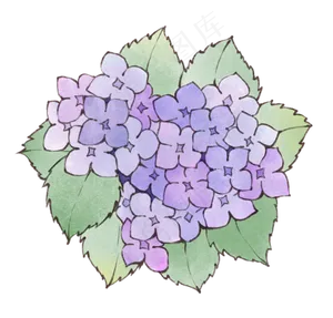 水彩水墨装饰清新小花绣球花素材